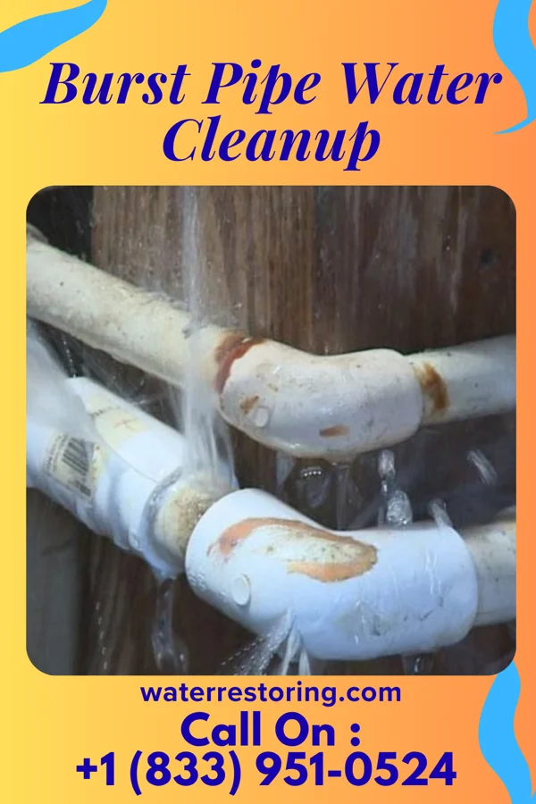 Burst Pipe Water Cleanup in Caryville, TN