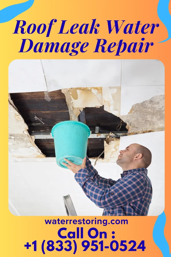 Roof Leak Water Damage Repair in Caryville, TN