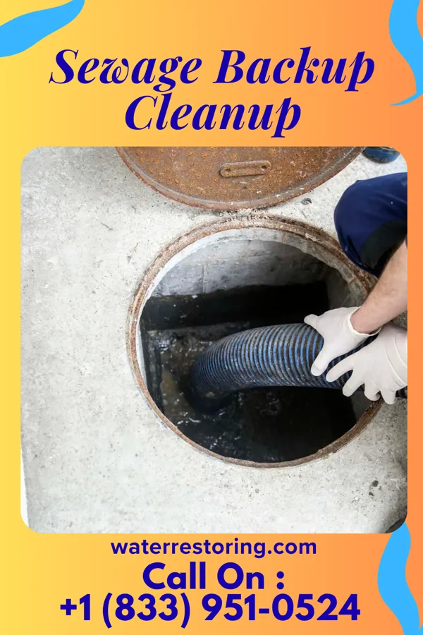 Sewage Backup Cleanup in Caryville, TN