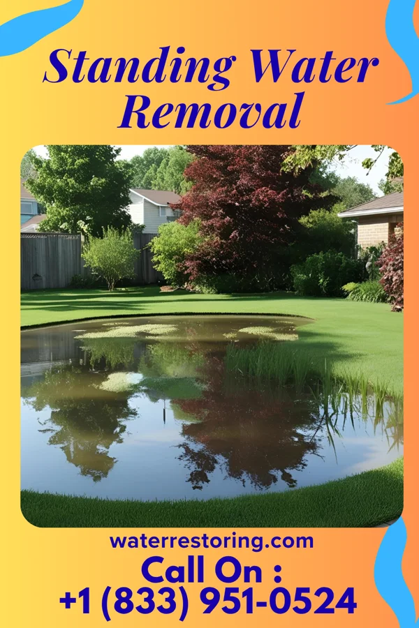 Standing Water Removal in Caryville, TN